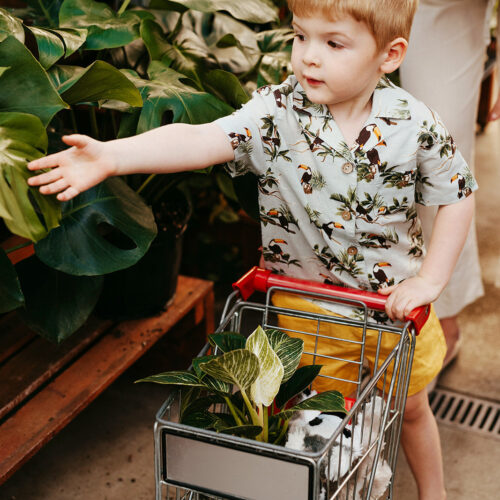 Toucan Linen Button-Up Shirt and Shorts Set